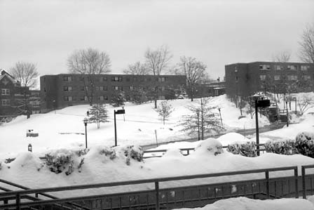 2 19%20winter