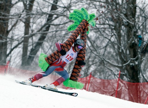 skiing web