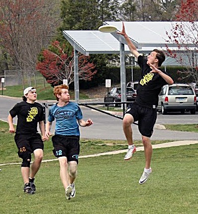 frisbee web