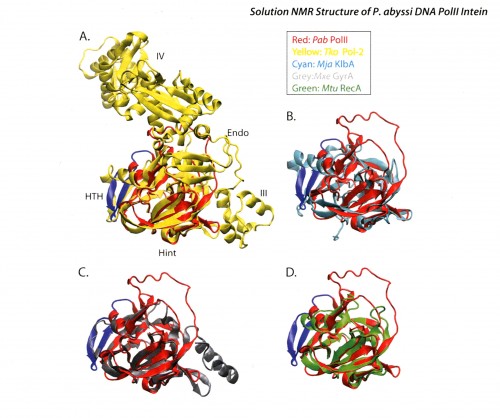 proteins webleveled unknown
