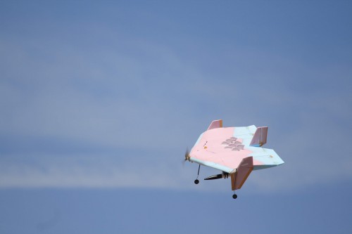 flying thing courtesy of dbf
