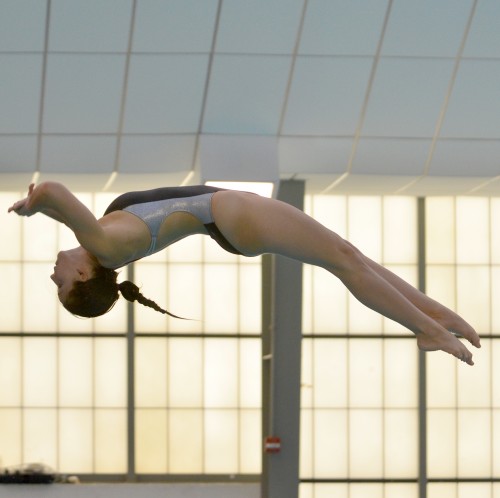 ncaa diving finals webleveled joseph shen