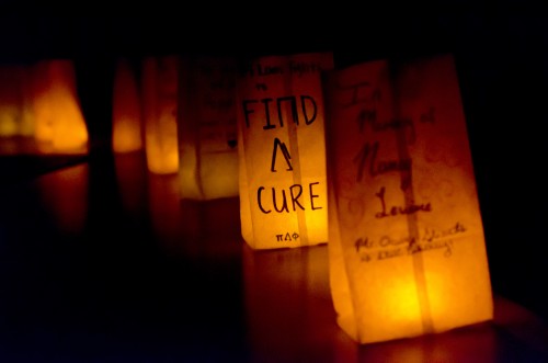 relay for life luminaria webleveled joseph shen