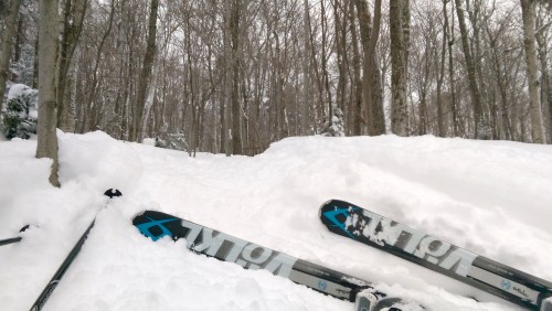 skiing webleveled jack wellhofer
