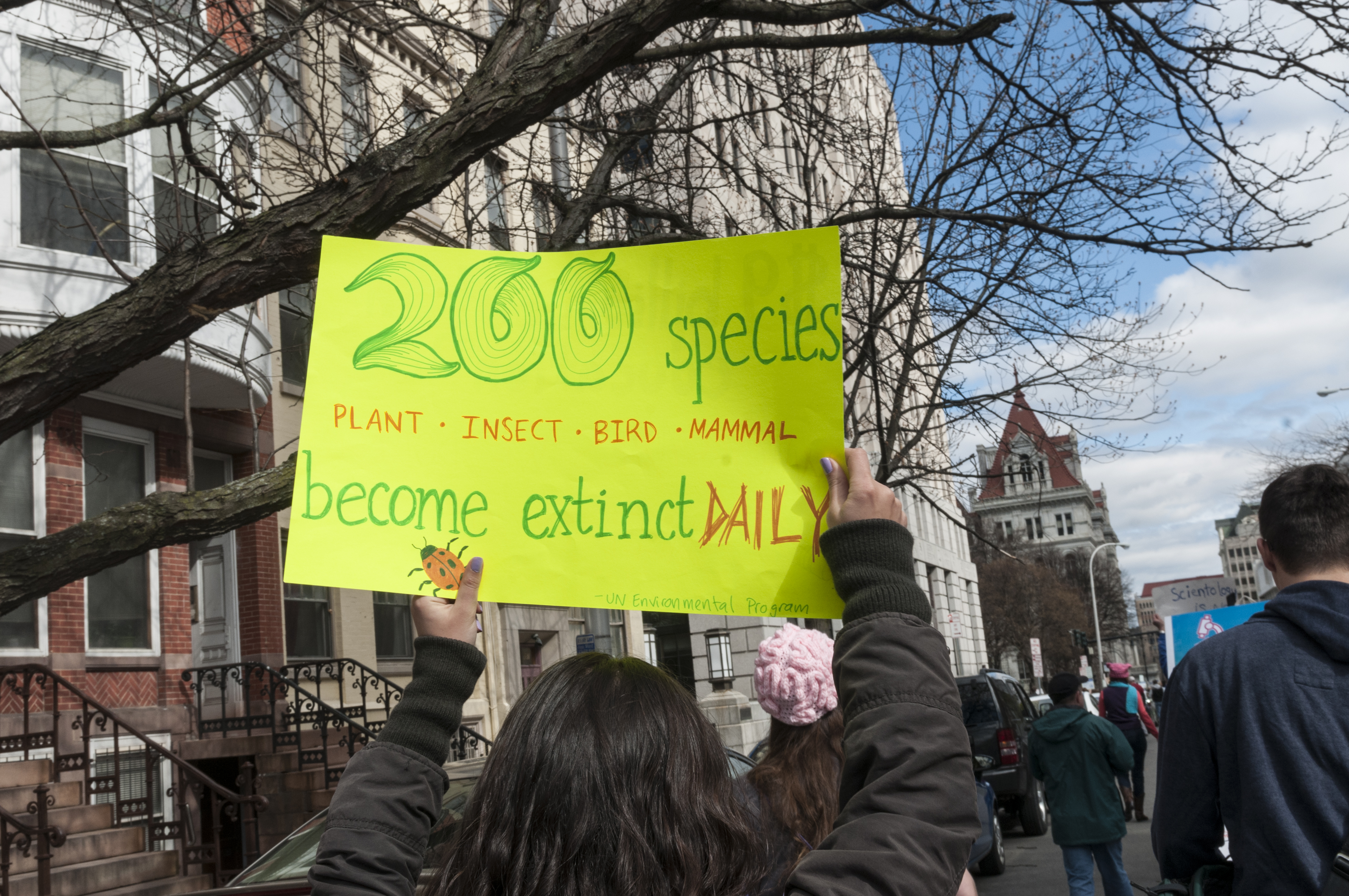 Womens March 4 WebLeveled Crystal Vejar