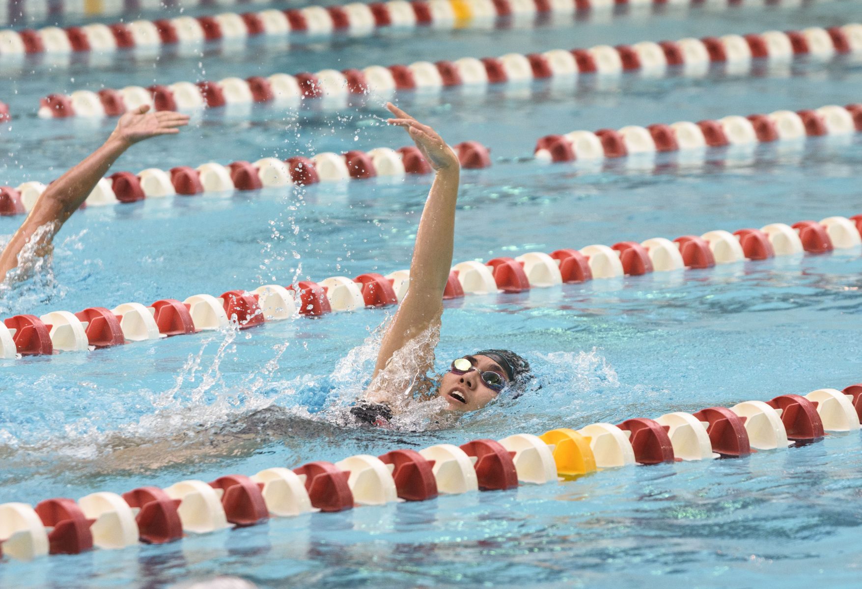 Swimming WebLeveled Brookelyn Parslow e1519834787410