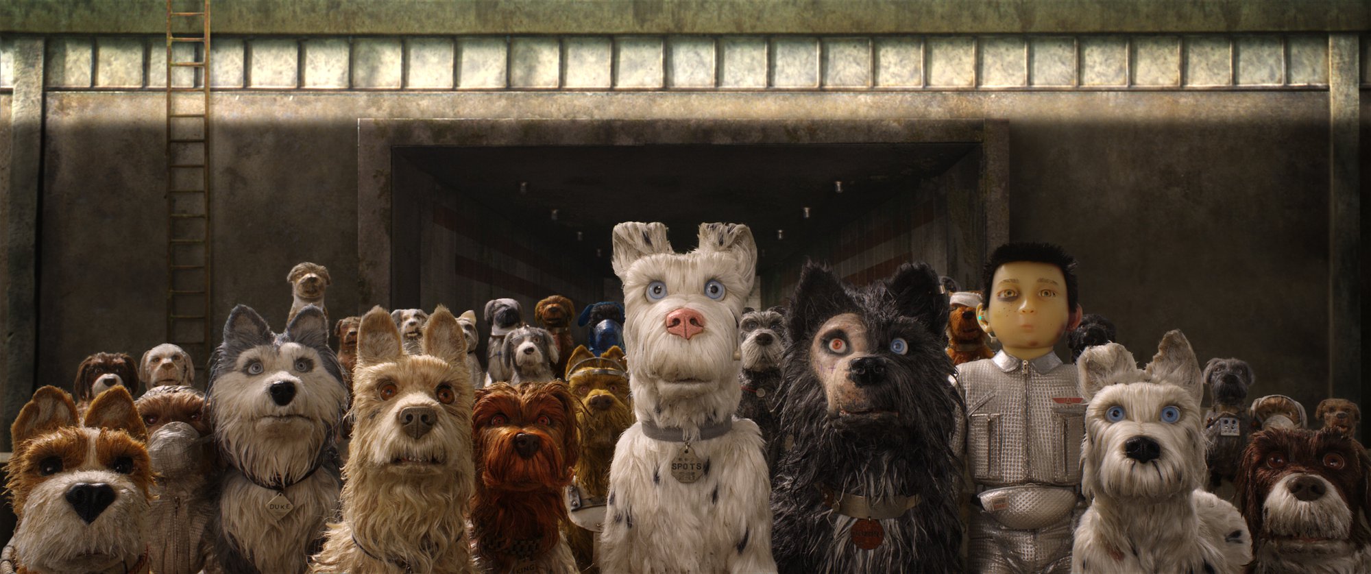 Isle of Dogs COurtest of Fox