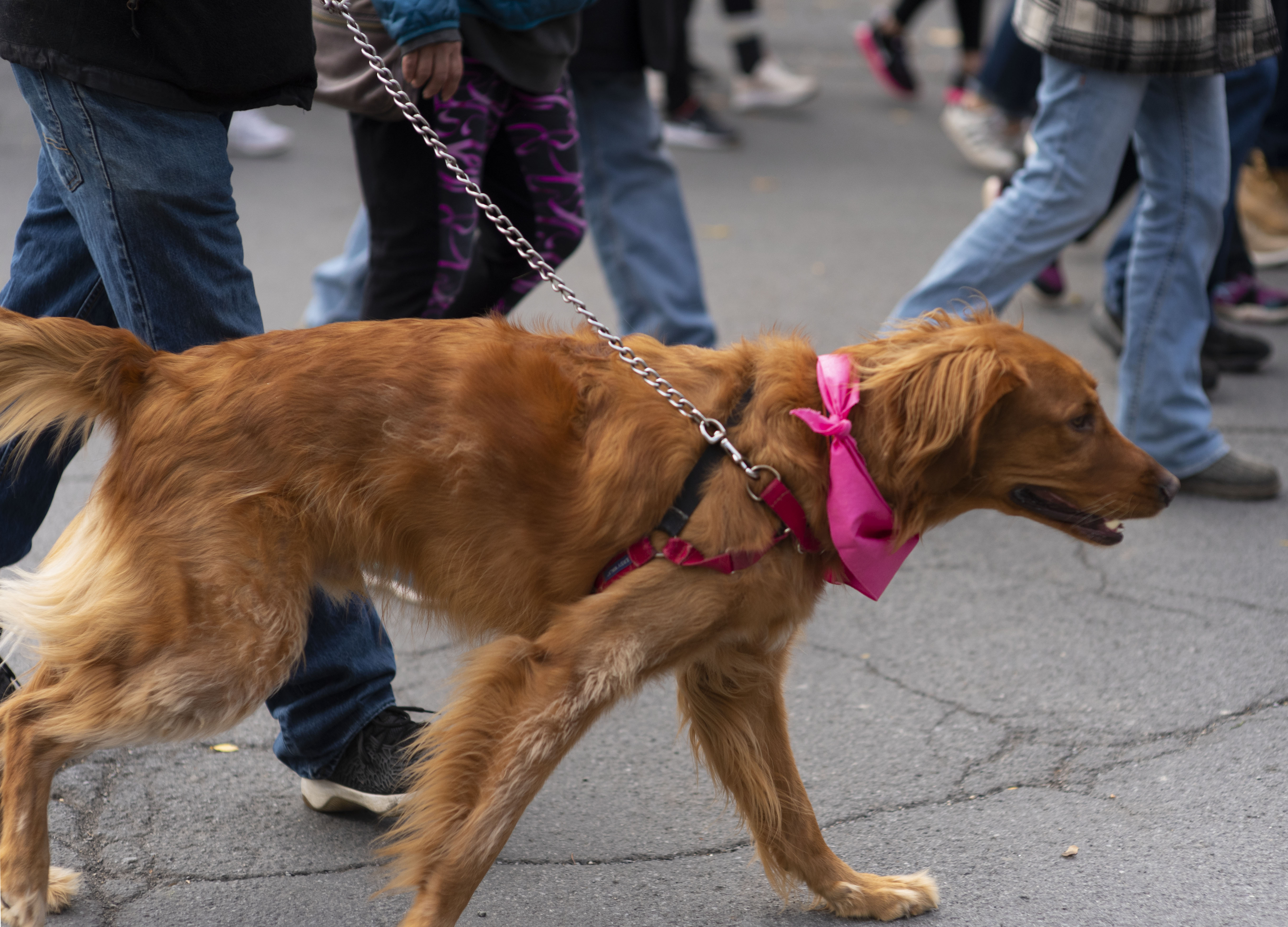 Breast Cancer March 9 WebLeveled Alex Ait Ettajer