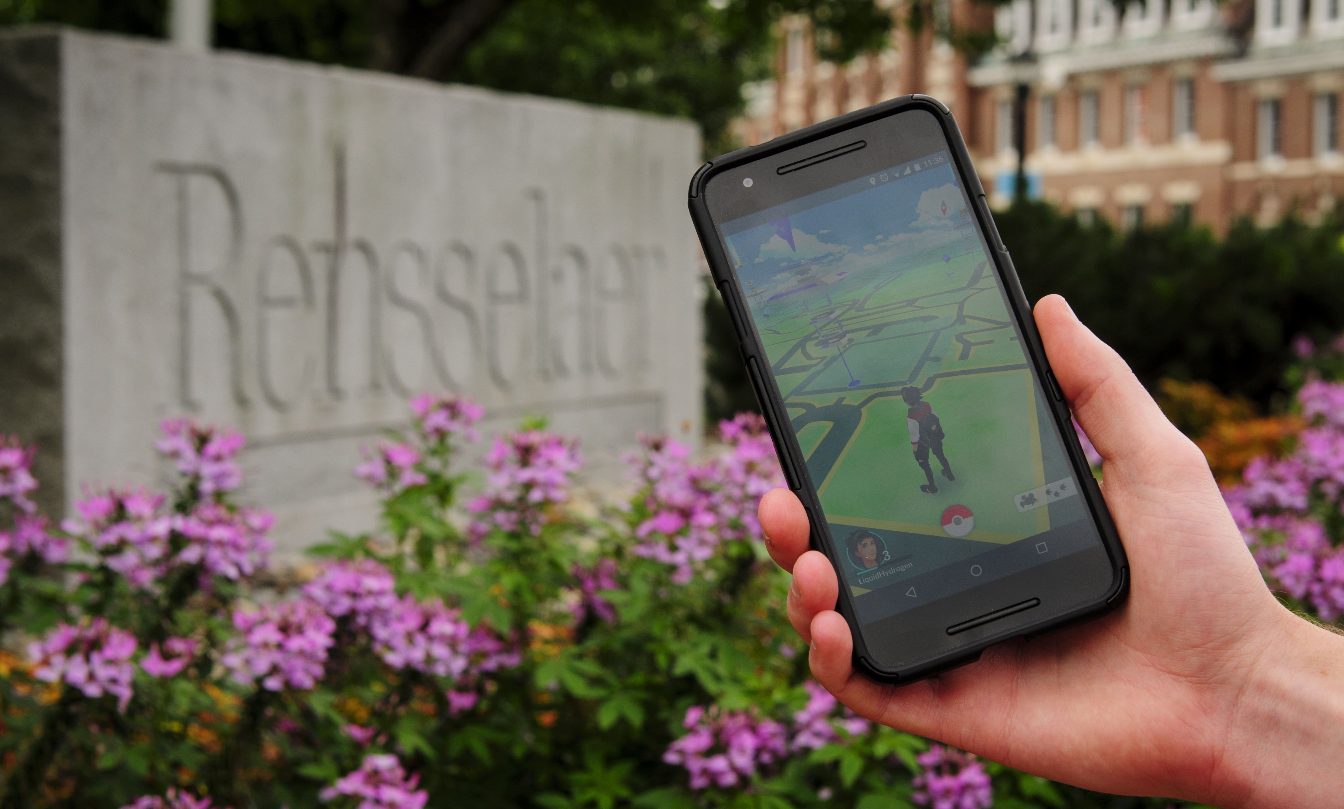 Pokemon GO WebLeveled Sidney Kochman