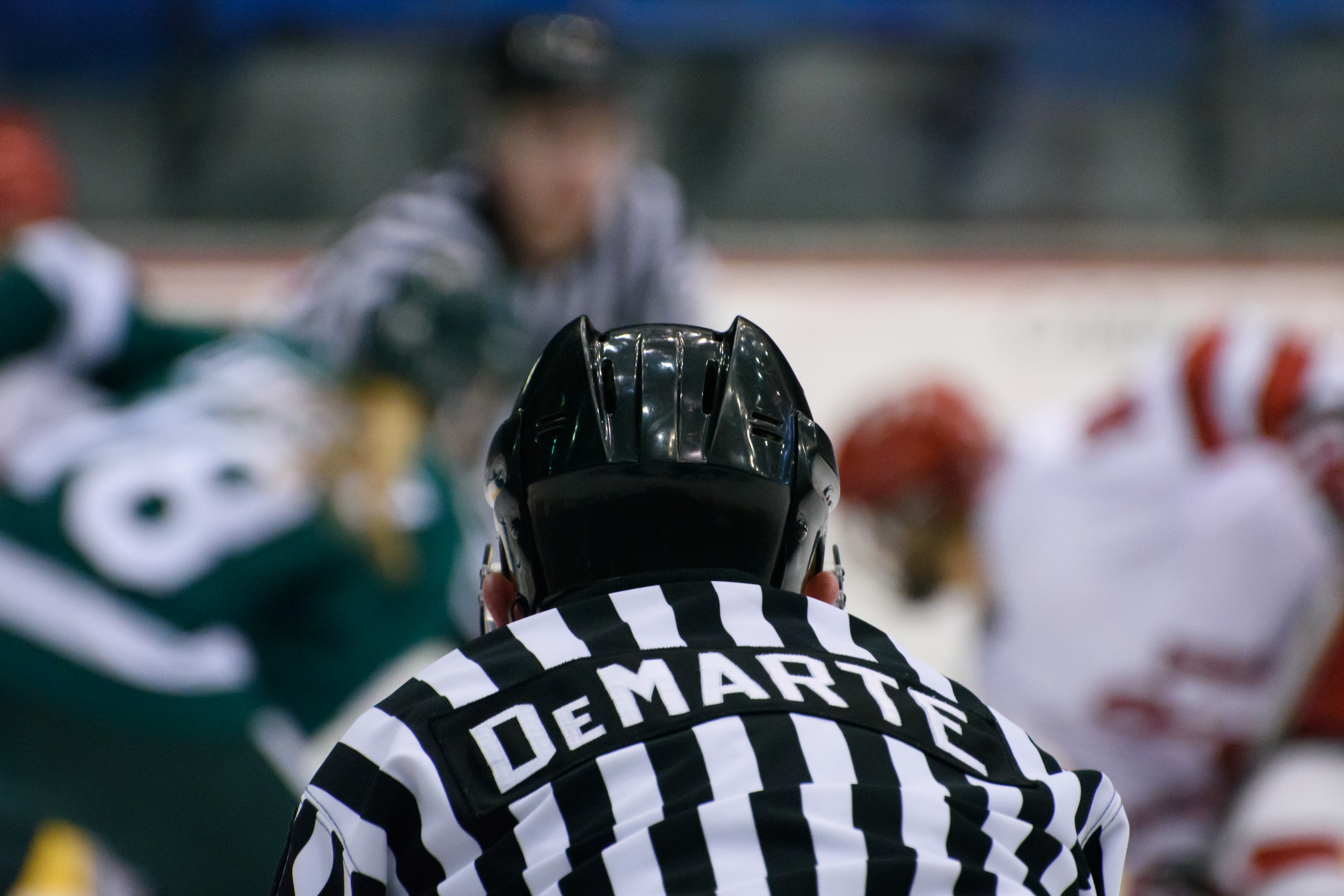Womens hockey vs. Dartmouth 3